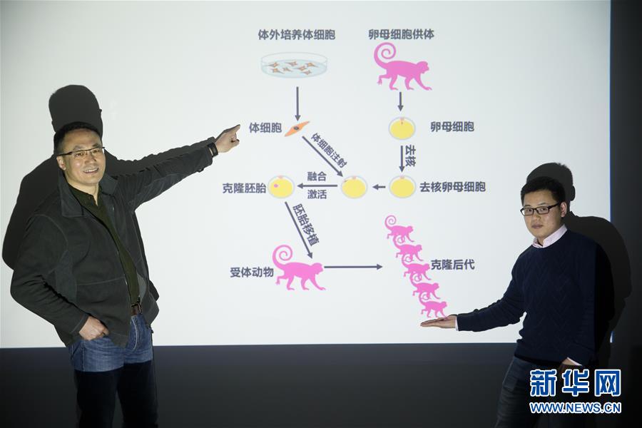 （科技）（5）世界生命科学重大突破！ 两只克隆猴在中国诞生